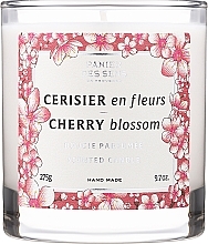 Fragrances, Perfumes, Cosmetics Scented Candle in Glass "Cherry Blossom" - Panier Des Sens Scented Candle Cherry Blossom