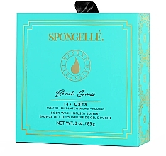 Reusable Foaming Bath Sponge - Spongelle Beach Grass Boxed Flower Body Wash Infused Buffer — photo N3