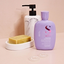 Smoothing Shampoo - Alfaparf Semi di Lino Smooth Smoothing Shampoo — photo N5