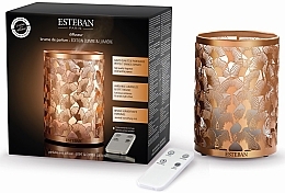 Fragrances, Perfumes, Cosmetics Fragrance Diffuser - Esteban Perfume Mist Diffuser Light &Copper Edition