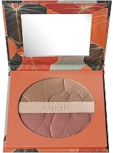 Fragrances, Perfumes, Cosmetics Bronzer - Deborah Maxi Bronzer Terra Abbronzante