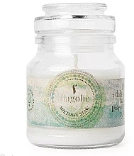 Fragrances, Perfumes, Cosmetics Scented Candle in Jar "Mint Pond" - Flagolie Scented Candle Boho Mint Pond