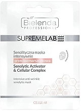 Intensive Anti-Wrinkle Mask - Bielenda Professional SupreMeLab Cellular — photo N1