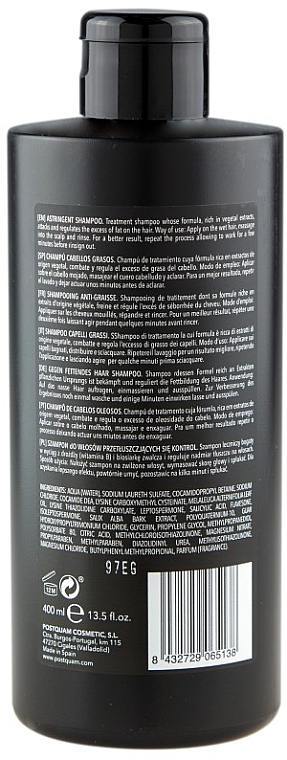 Shampoo for Oily Hair - PostQuam Therapy Fresh Cleansing Hair Shampoo — photo N10