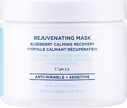 Nourishing & Repairing Blueberry Mask - HydroPeptide Rejuvenating Mask — photo N3