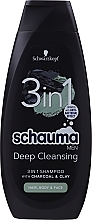 Charcoal & Volcanic Clay Shampoo for Men - Schwarzkopf Schauma Men 3 in 1 Shampoo — photo N1