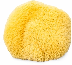 Fragrances, Perfumes, Cosmetics Natural Caribbean Sea Sponge, 31-4" - Hydrea London Caribbean Silk Sea Sponge