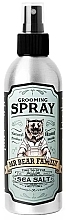 Sea Salt Hair Spray - Mr Bear Family Sea Salt Grooming Spray — photo N1