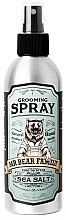 Fragrances, Perfumes, Cosmetics Sea Salt Hair Spray - Mr Bear Family Sea Salt Grooming Spray