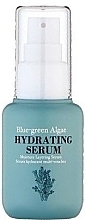 Fragrances, Perfumes, Cosmetics Face Serum - Too Cool For School Blue-Green Algae Hydrating Serum