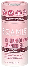 Dry Shampoo  - Foamie Berry Fresh Dry Shampoo — photo N1