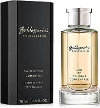 Fragrances, Perfumes, Cosmetics Baldessarini Concentree - Eau de Cologne (concentrate)