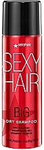 髪のボリュームを高めるドライシャンプー - SexyHair BigSexyHair Dry Shampoo — photo N1