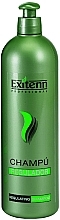 Fragrances, Perfumes, Cosmetics Oily Hair Shampoo - Exitenn Professional Regulating Shampoo