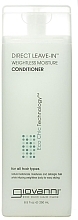 Leave-In Conditioner - Giovanni Eco Chic Hair Care Conditioner Direct Leave-In — photo N1