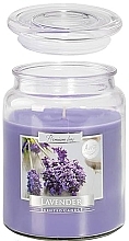 Fragrances, Perfumes, Cosmetics Lavender Candle in Glass - Bispol Premium Line Aura Scented Candle Lavender