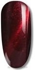 Nail Gel Polish - Reney Cosmetics Cat Eye Gel Polish — photo 001