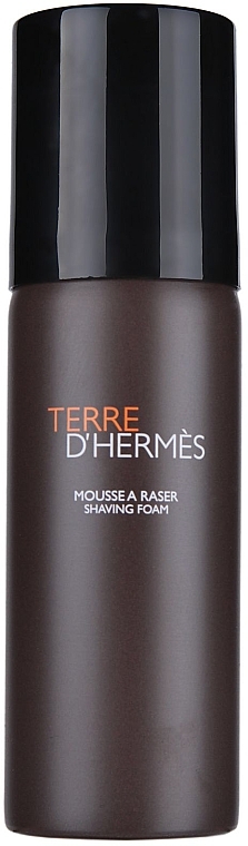 Hermes Terre dHermes - Shaving Foam — photo N1