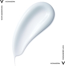 Complex Correction Problem Skin Treatment - Vichy Normaderm Sain Embellisseur Anti-Imperfections Hydratation 24H — photo N4