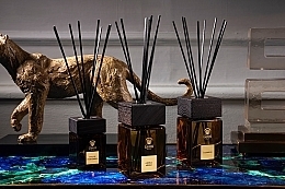 Fragrance Diffuser - Dr. Gritti Ambra Miele Room Diffuser — photo N4