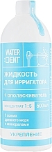 Fragrances, Perfumes, Cosmetics Mouthwash + Irrigator Liquid 'Strengthening' - Waterdent