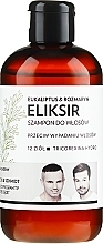 Fragrances, Perfumes, Cosmetics Hair Elixir Shampoo "Eucalyptus & Rosemary" - WS Academy Eukaliptus & Rozmaryn Elixir Wash