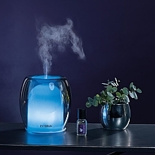 Esteban Perfume Mist Diffuser Silver Color Edition - Esteban Perfume Mist Diffuser Silver Color Edition — photo N3