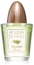 Fragrances, Perfumes, Cosmetics Pino Silvestre Acqua di Pino Fougere - Eau de Toilette