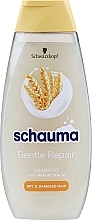 Fragrances, Perfumes, Cosmetics Shampoo with Wheat Protein "Gentle Repair" - Schauma Gentle Repair Shampoo