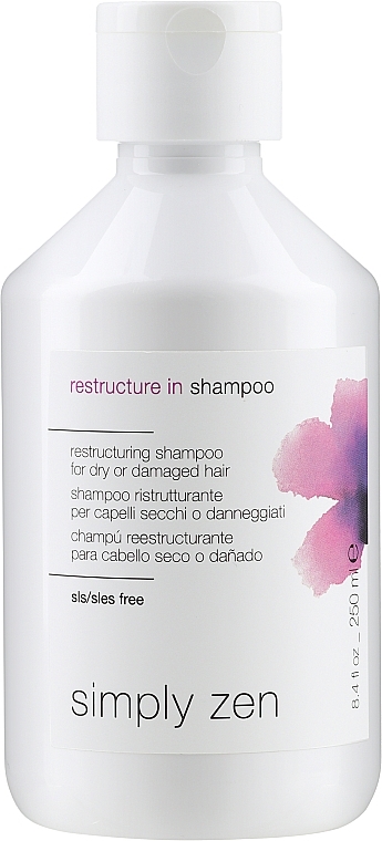 Dry Hair Shampoo - Z. One Concept Simply Zen Restructure in Shampoo — photo N2