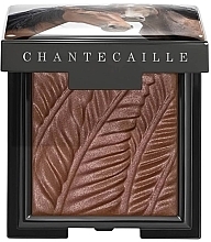 Eyeshadow - Chantecaille Matte Eye Shade Wild Mustang Collection — photo N1