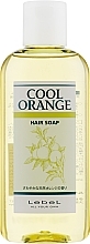 Fragrances, Perfumes, Cosmetics Cool Orange Shampoo - Lebel Cool Orange Shampoo