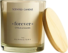 Fragrances, Perfumes, Cosmetics Scented Candle - Ambientair The Olphactory Forever Citrus & Shades Scented Candle