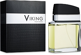 Flavia Viking Pour Homme - Perfumed Spray — photo N24