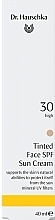 Sunscreen Foundation - Dr. Hauschka Tinted Face Sun Cream SPF30 — photo N16