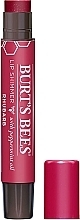 Fragrances, Perfumes, Cosmetics Shimmering Lip Balm - Burt's Bees Lip Shimmer