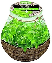 Fragrances, Perfumes, Cosmetics Scented Candle in Jar "Citronella Garden Basilic", 94/91mm - Bolsius Candle