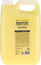 Hair Shampoo "Flower & Keratin" - Stapiz Basic Salon Shampoo Flowers&Keratin — photo N3