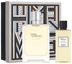 Hermes Terre d'Hermes Eau Givree - Set (edp/100ml + sh/gel/80 ml) — photo N2