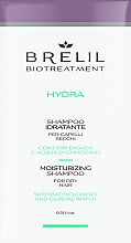 GIFT! Moisturizing Shampoo - Brelil Bio Treatment Hydra Shampoo — photo N1