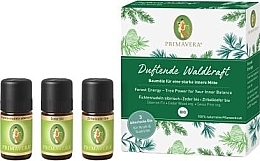 Fragrant Forest Energy Set - Primavera Organic Oil Forest Energy (oil/3*5ml) — photo N1