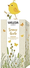 Fragrances, Perfumes, Cosmetics Set - Weleda Frühlingsset Sanddorn (sh/gel/200ml + h/cr/50ml)