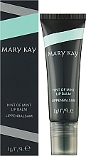 Mint Lip Balm - Mary Kay Hint of Mint Lip Balm — photo N2