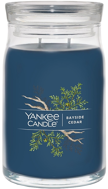 Scented Candle in Jar 'Cedar', 2 wicks - Yankee Candle Bayside Cedar — photo N2