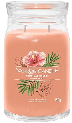 Scented Candle in Jar 'Tropical Breeze', 2 wicks - Yankee Candle Singnature — photo N1