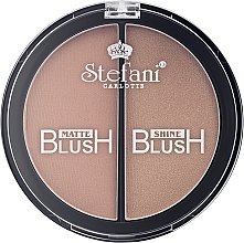 Blush & Highlighter 2in1 - Stefani Carlotte Blush — photo N5