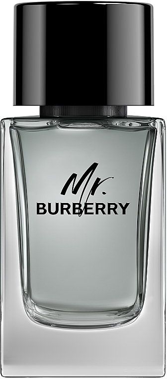 Burberry Mr. Burberry - Eau de Toilette — photo N1