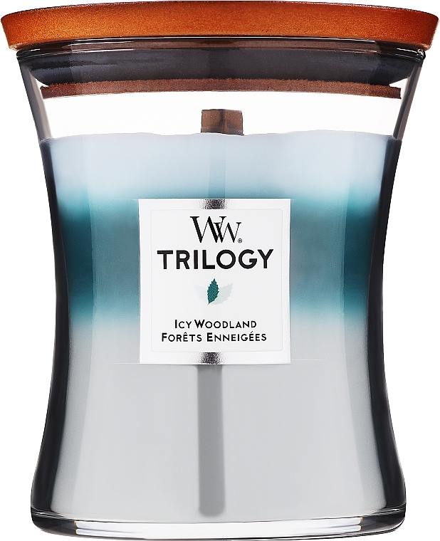 Scented Candle - WoodWick Trilogy Icy Woodland — photo N1