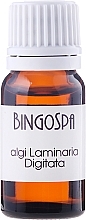 Fragrances, Perfumes, Cosmetics Kelp Seaweed - BingoSpa