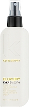 Thermoactive Hair Smoothing Spray - Kevin Murphy Blow.Dry Ever.Smooth — photo N1